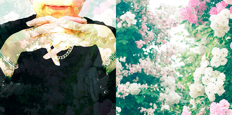 エイミーからのごあいさつ