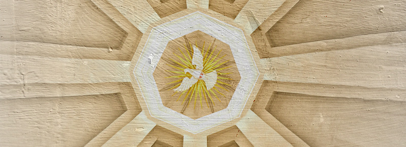 奇跡のコース｜LIVE名前のないお話会