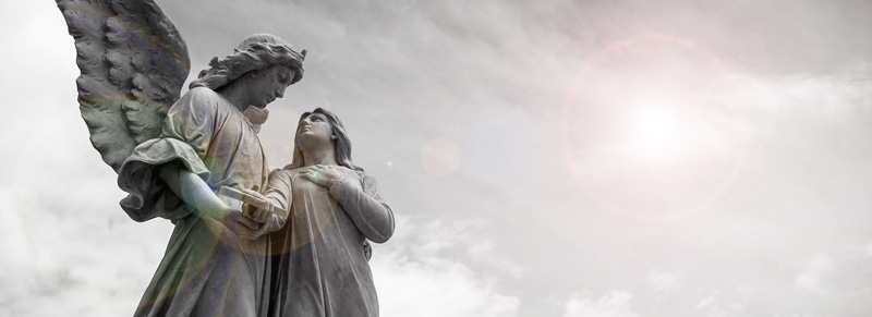 エイミーからのごあいさつ